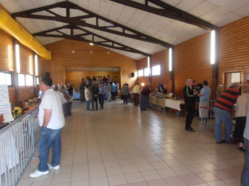 P5250175 [800x600].JPG