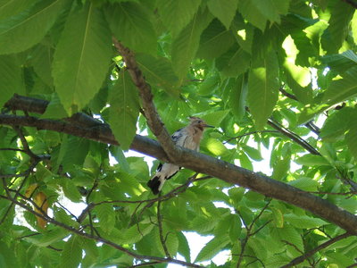 DSCF6970.JPG